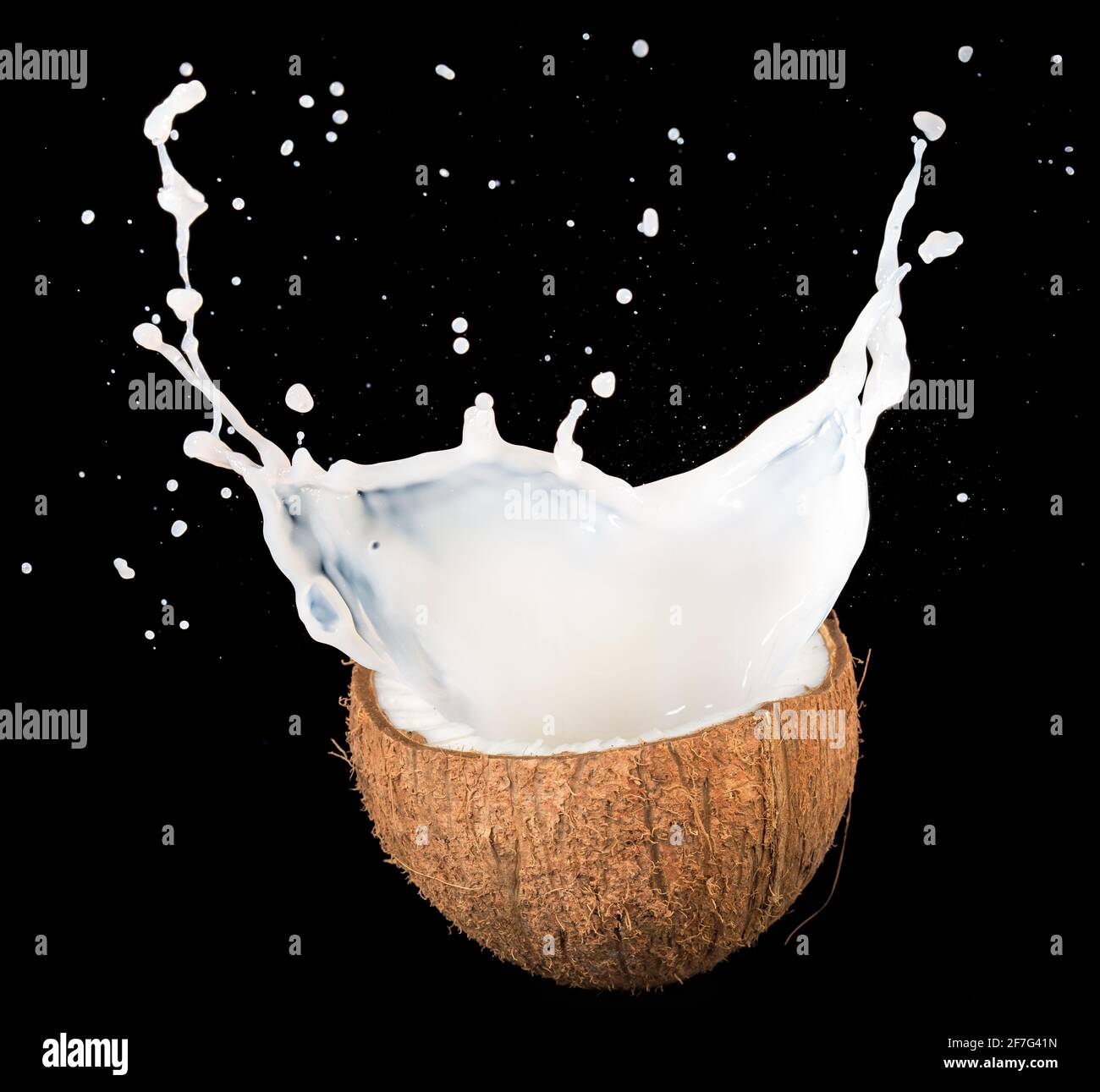 coconut milk spilling out of half nut isolated on black Stock Photo