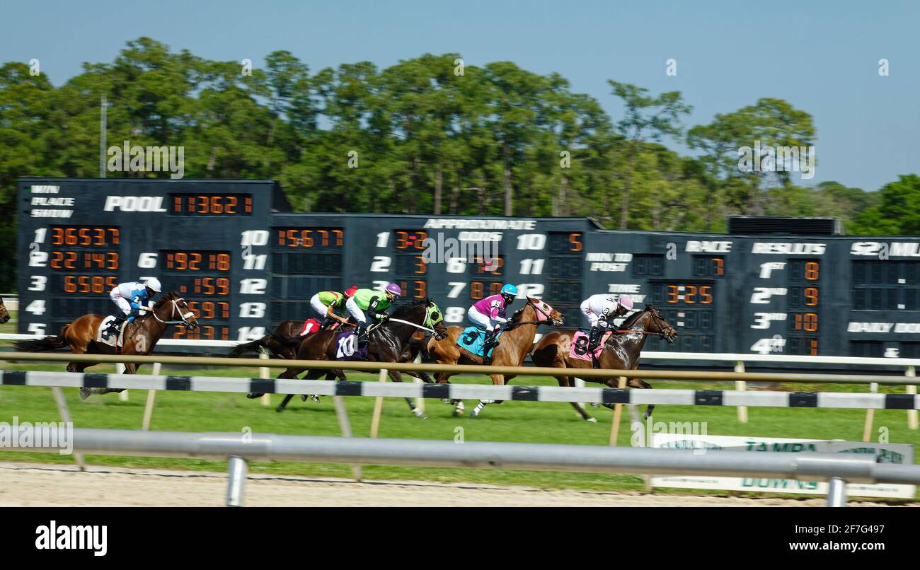 racetrack scene, race underway, turf, speed, motion, horses