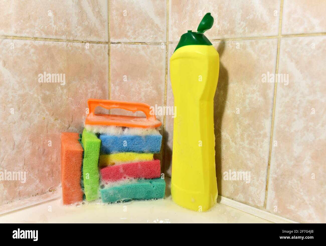 Sponges to clean bathroom deals