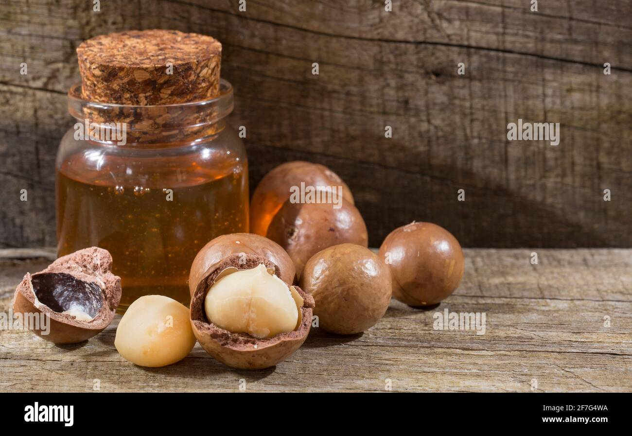 Macadamia nuts and oil Macadamia integrifolia Stock Photo Alamy