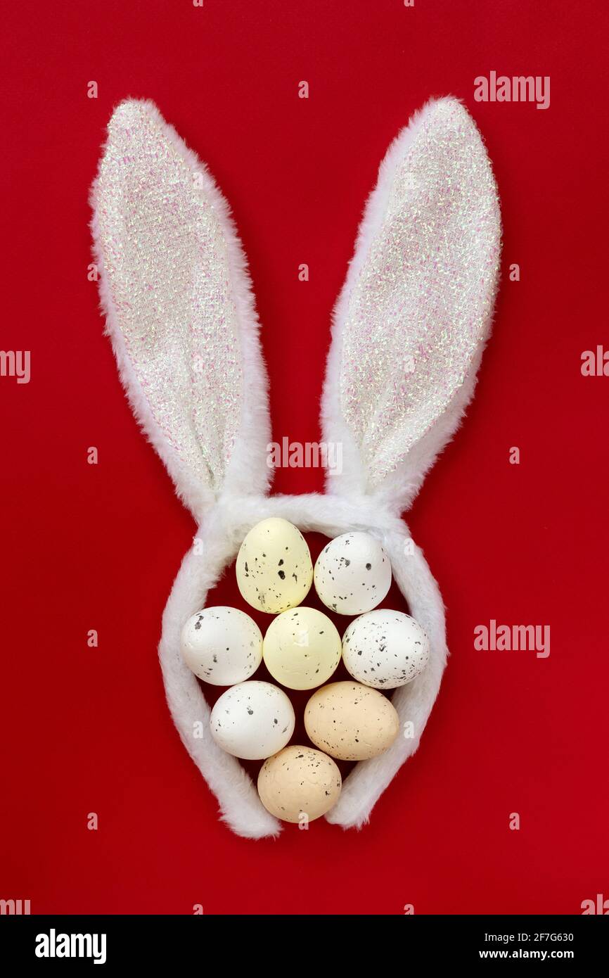 Fluffy bunny ears with colored Easter eggs isolated on red background, top view, flat lay. Stock Photo