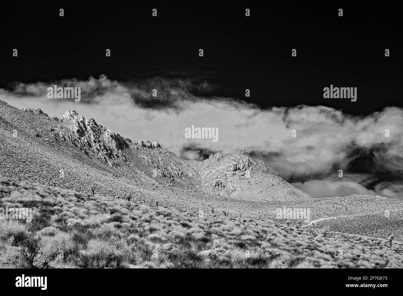 Desert landscape with trail leading through valley and barren mountains under black skies with white clouds. Stock Photo