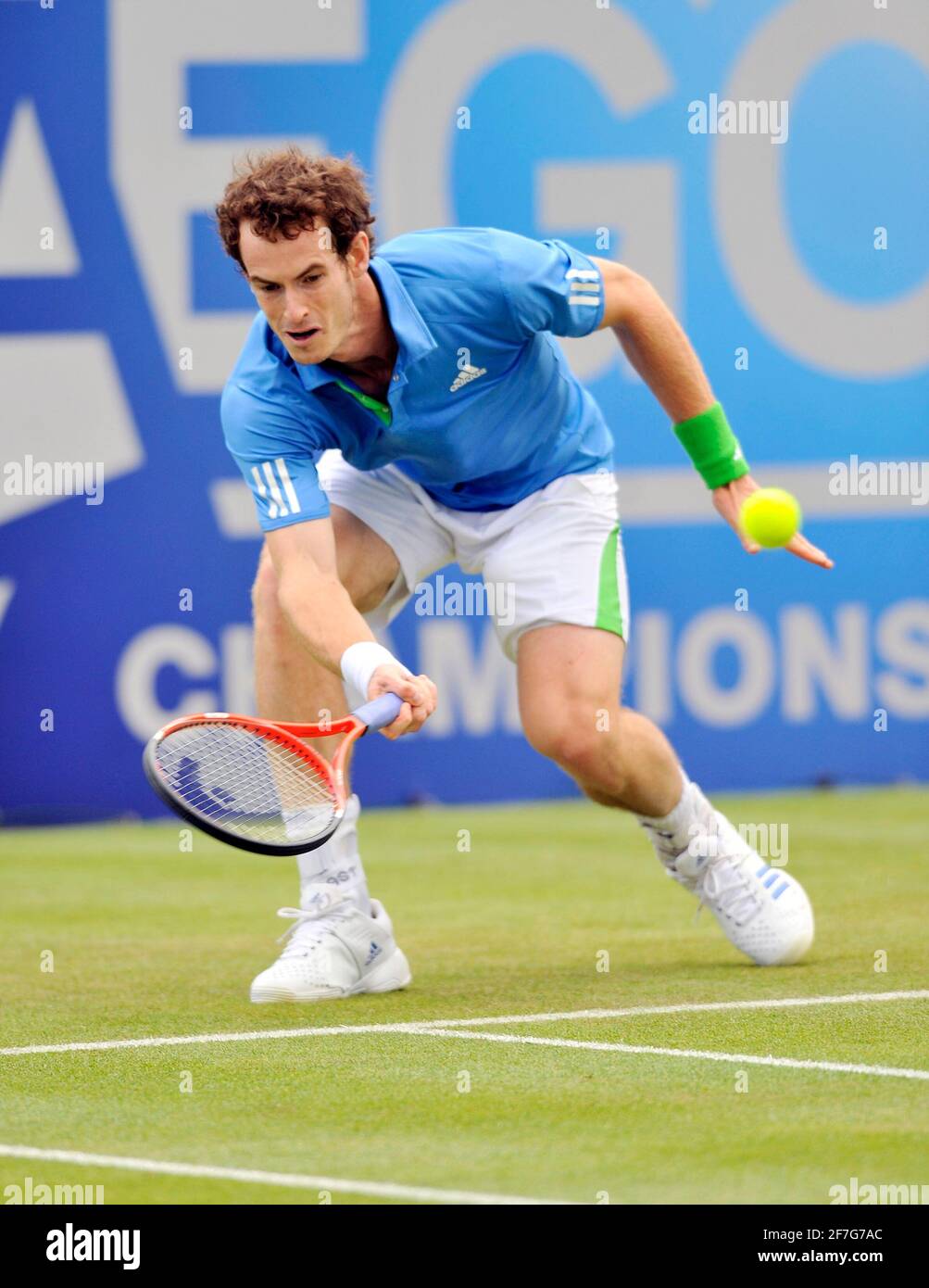 The Queens Club High Resolution Stock Photography And Images Alamy