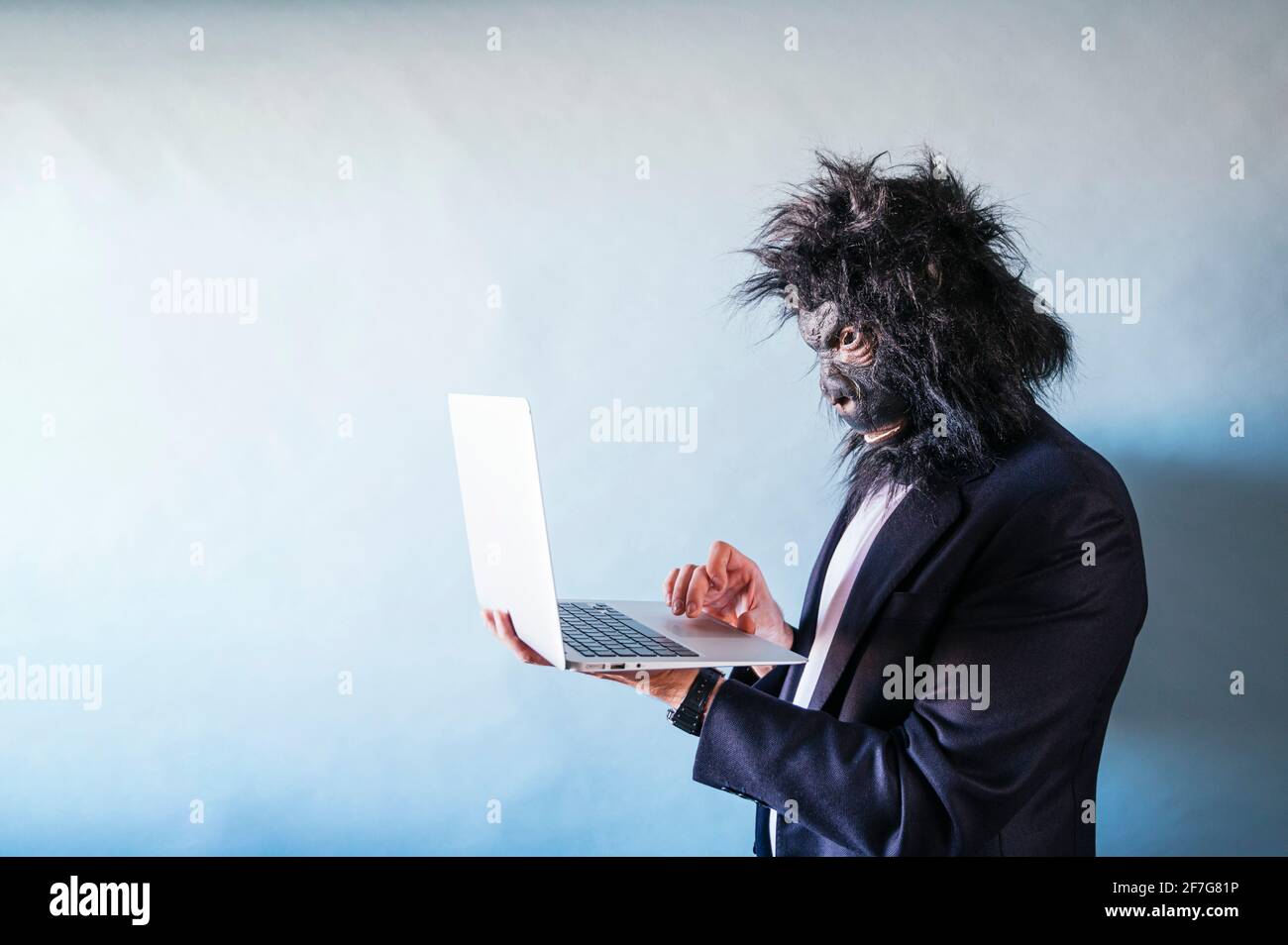Man with gorilla mask using laptop Stock Photo