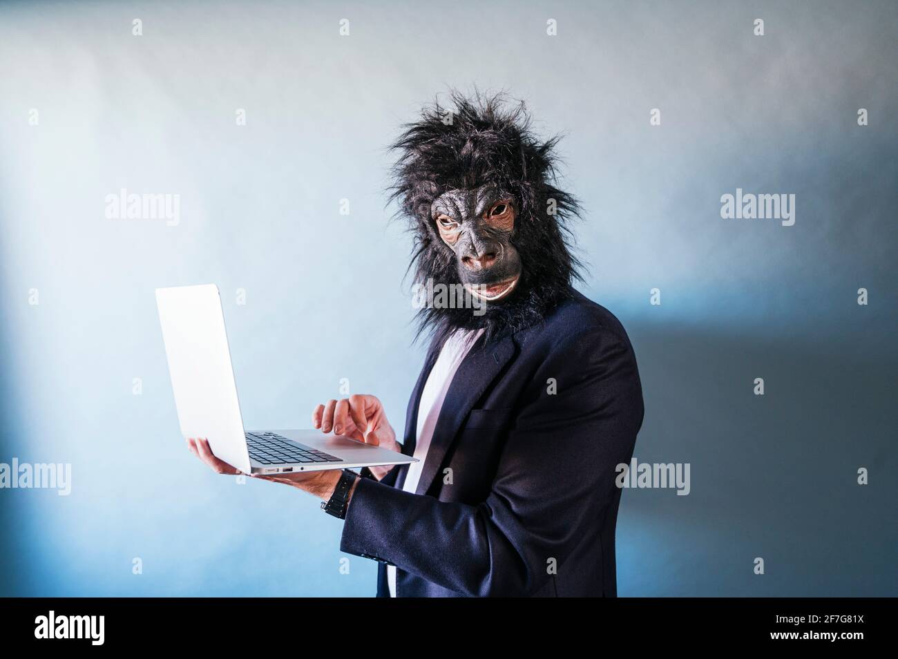 Man with gorilla mask using laptop Stock Photo