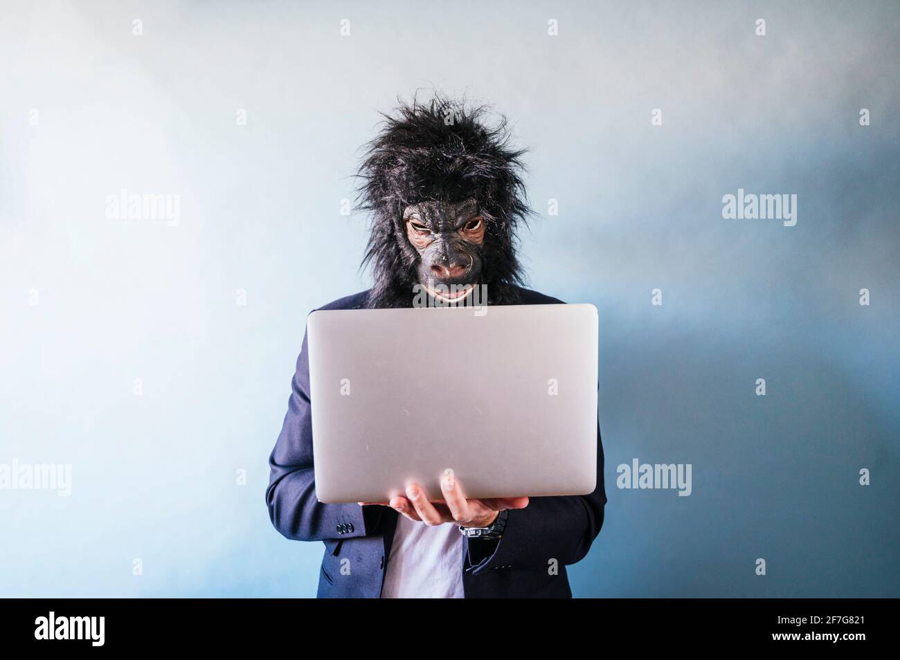 Man with gorilla mask using laptop Stock Photo