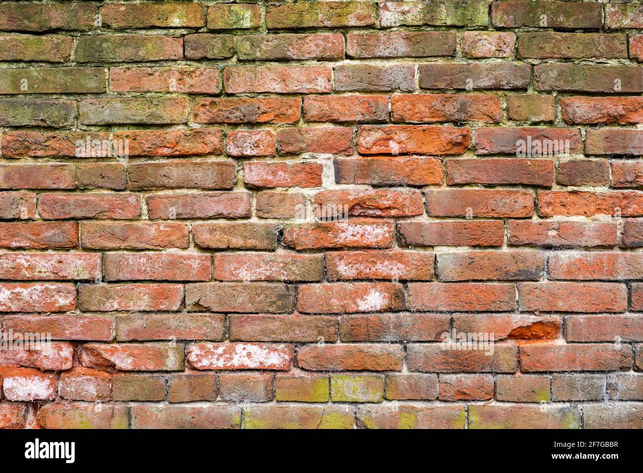 old brick wall background