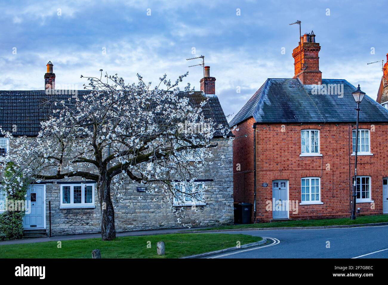 Sharnbrook, Bedfordshire, England, UK - Village green in springtime with cherry tree in bloom, cottages and old streetlamp Stock Photo