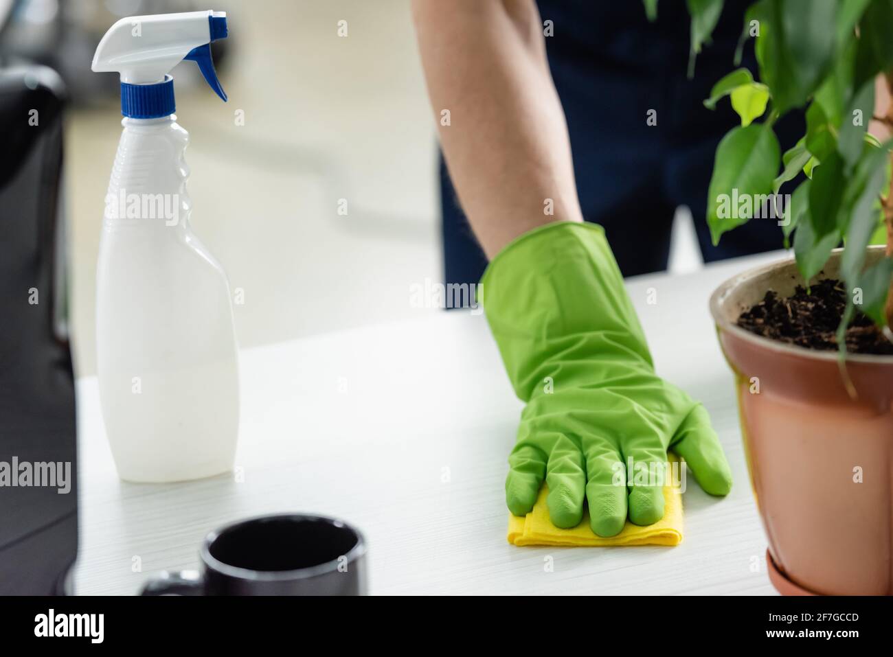 https://c8.alamy.com/comp/2F7GCCD/cropped-view-of-cleaner-in-rubber-glove-cleaning-table-near-plant-and-detergent-in-office-2F7GCCD.jpg