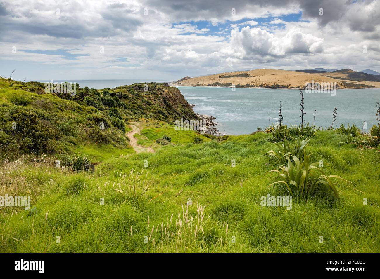 Coastal Walk Arai-Te-Uru Recreation reserve in Omapere in New Zealand Stock Photo