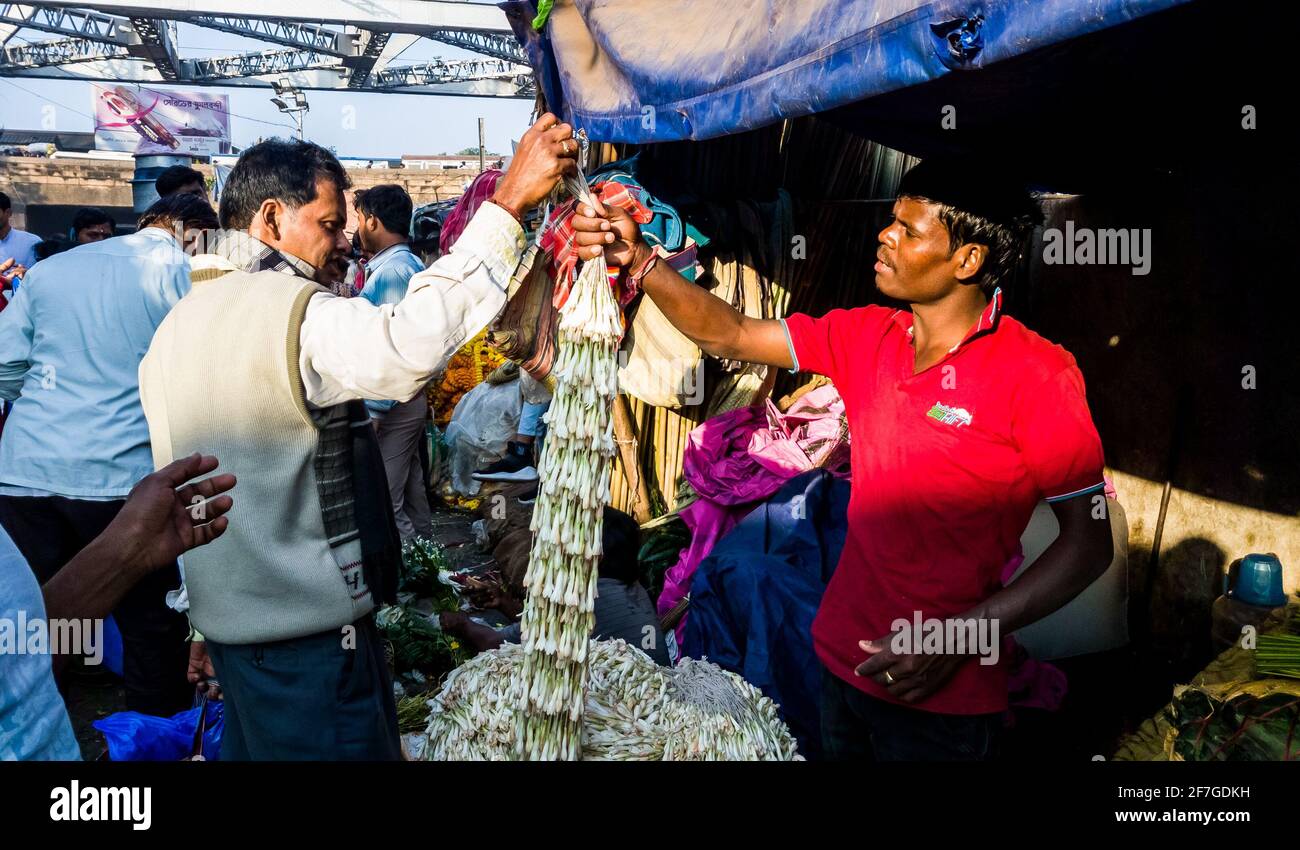 Kolkata, West Bengal, India - January 2018: A street vendor selling colorful flowers and garlands in the ancient Mullick Ghat flower market in the cit Stock Photo