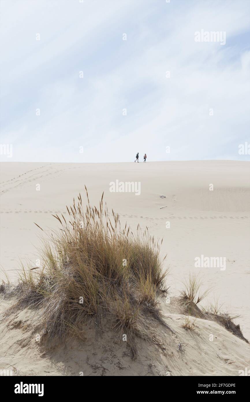 Oregon dunes national recreation area hires stock photography and