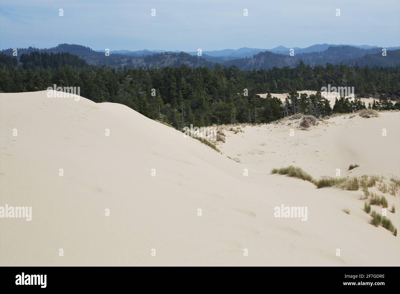 John Dellenback dunes trail in the Oregon Dunes National Recreation