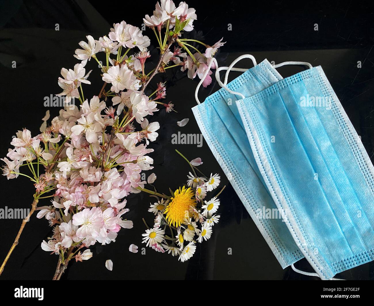 Flowers on the side of surgical masks - Covid19 coronavirus concept - Condolence, Grievance, Hope and Solidarity to all the lives lost. Stock Photo