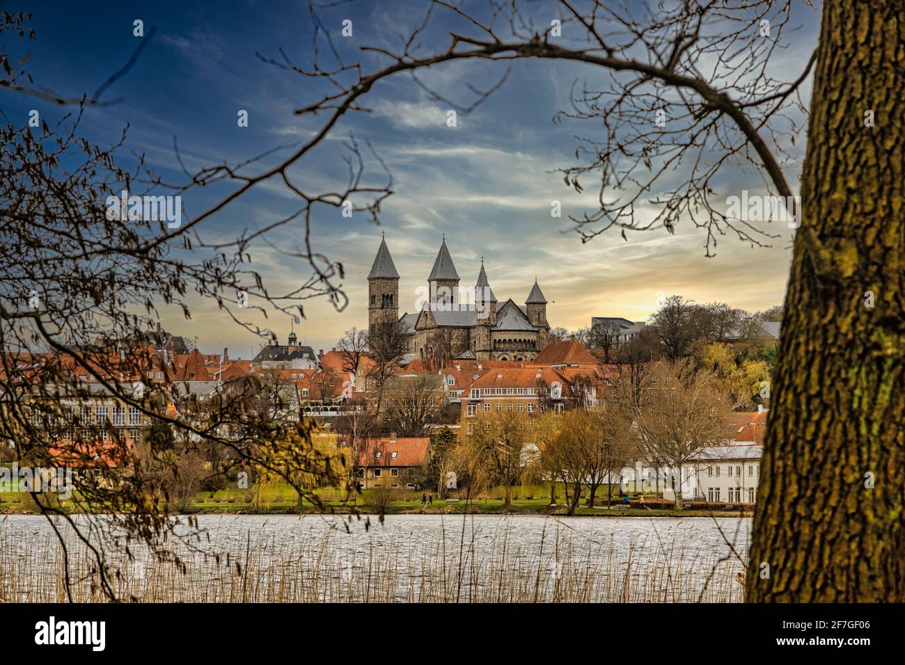 Viborg ancient cathedral in the middle of Denmark Stock Photo