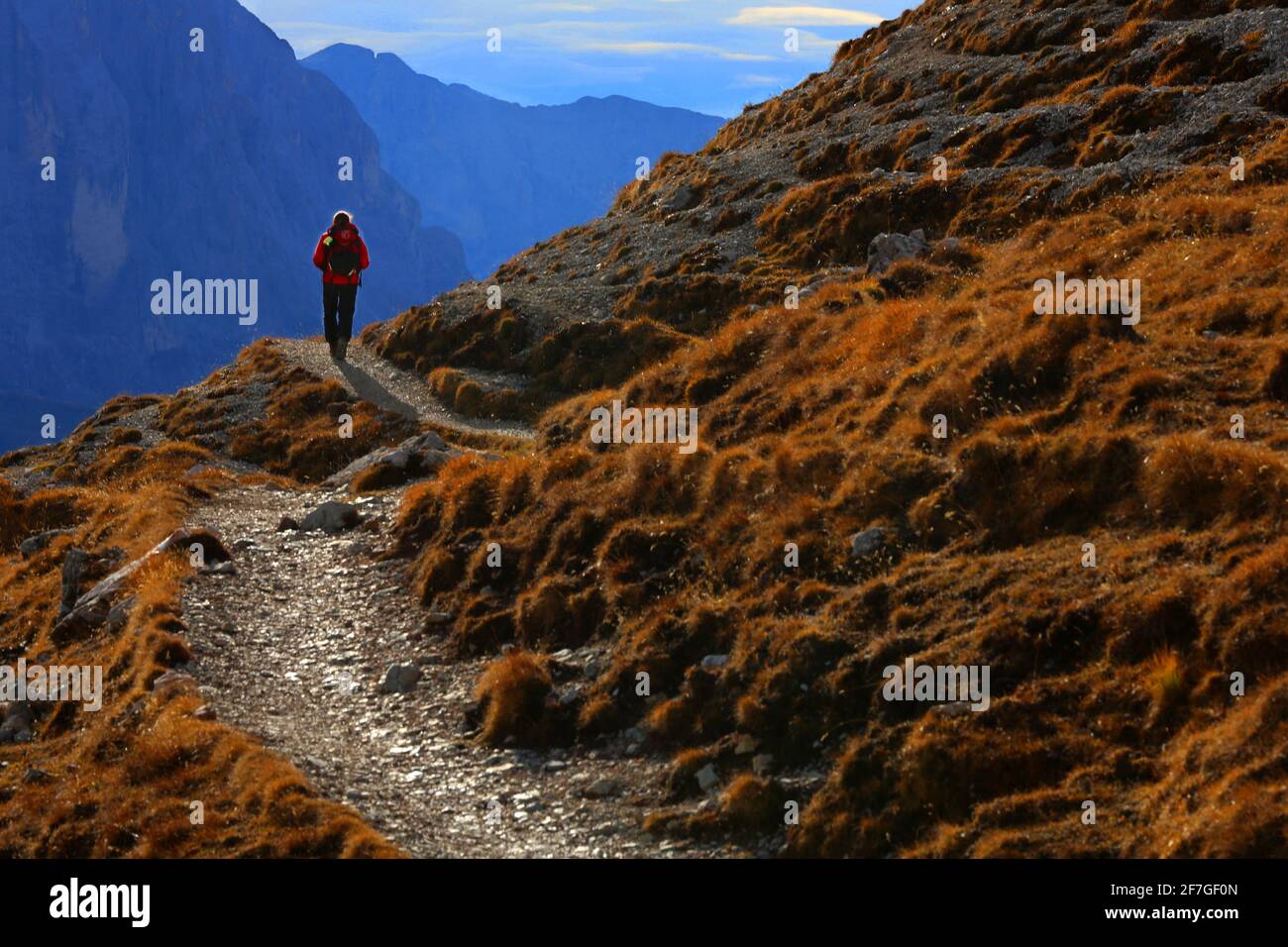 einsamer Wanderer in roter Jacke auf herbstlichen Bergpfad zurück ins Tal nach Wolkenstein in Südtirol in der Bergwelt der Dolomiten in Italien Stock Photo