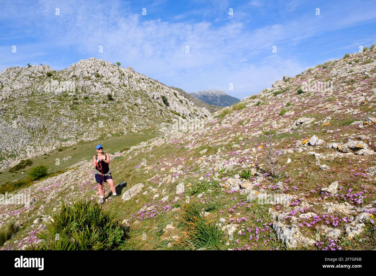 Hiking La Cuna trail above Zafarraya pass between Andalucía and Granada, Spain, Europe Stock Photo
