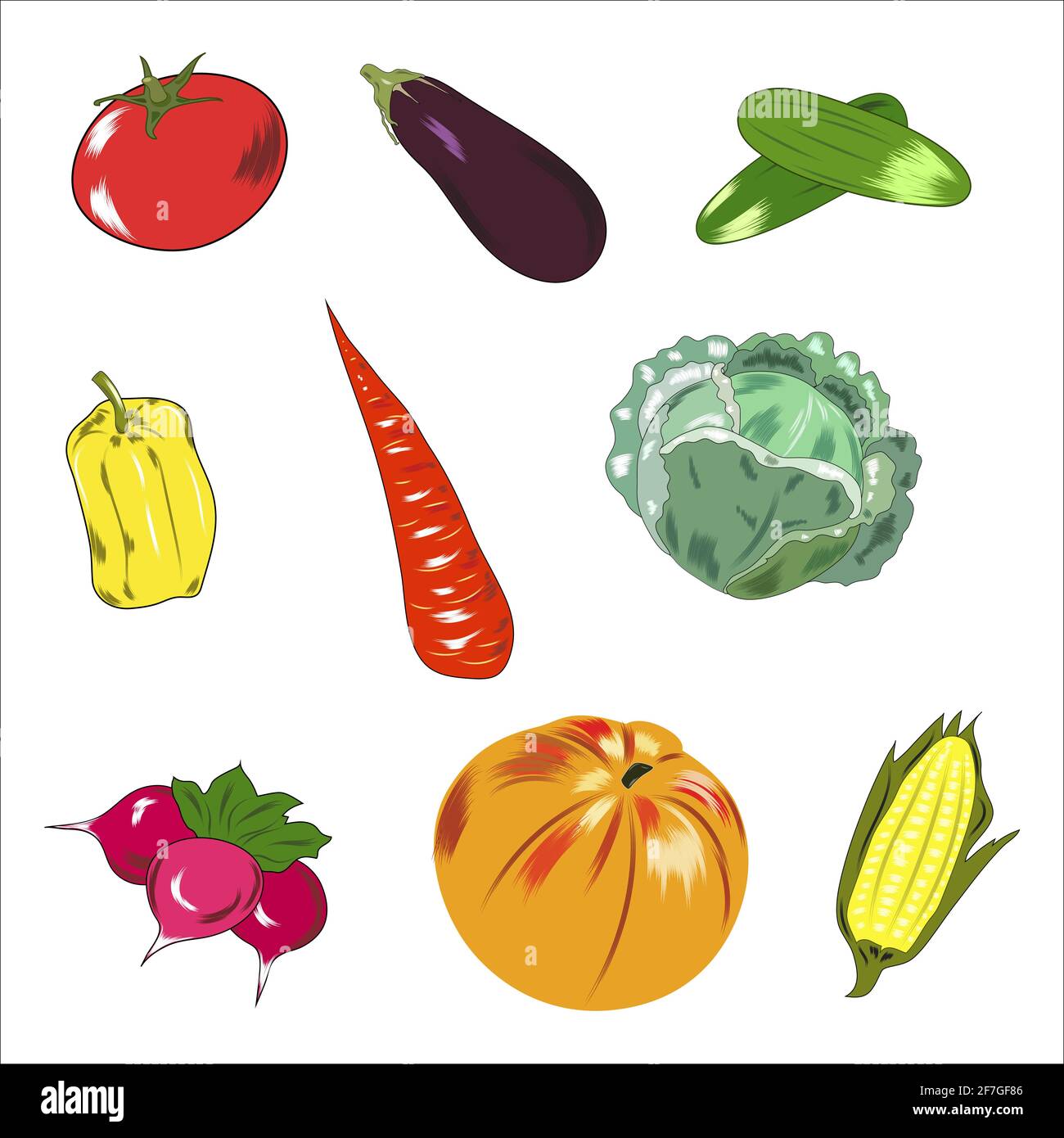 A set of vegetables isolated on a white background.vector Stock Vector