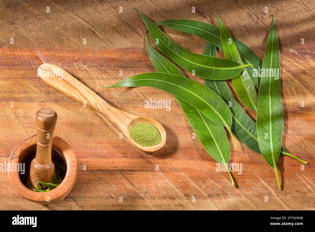 Fresh eucalyptus leaves on wooden background Eucalyptus globulus