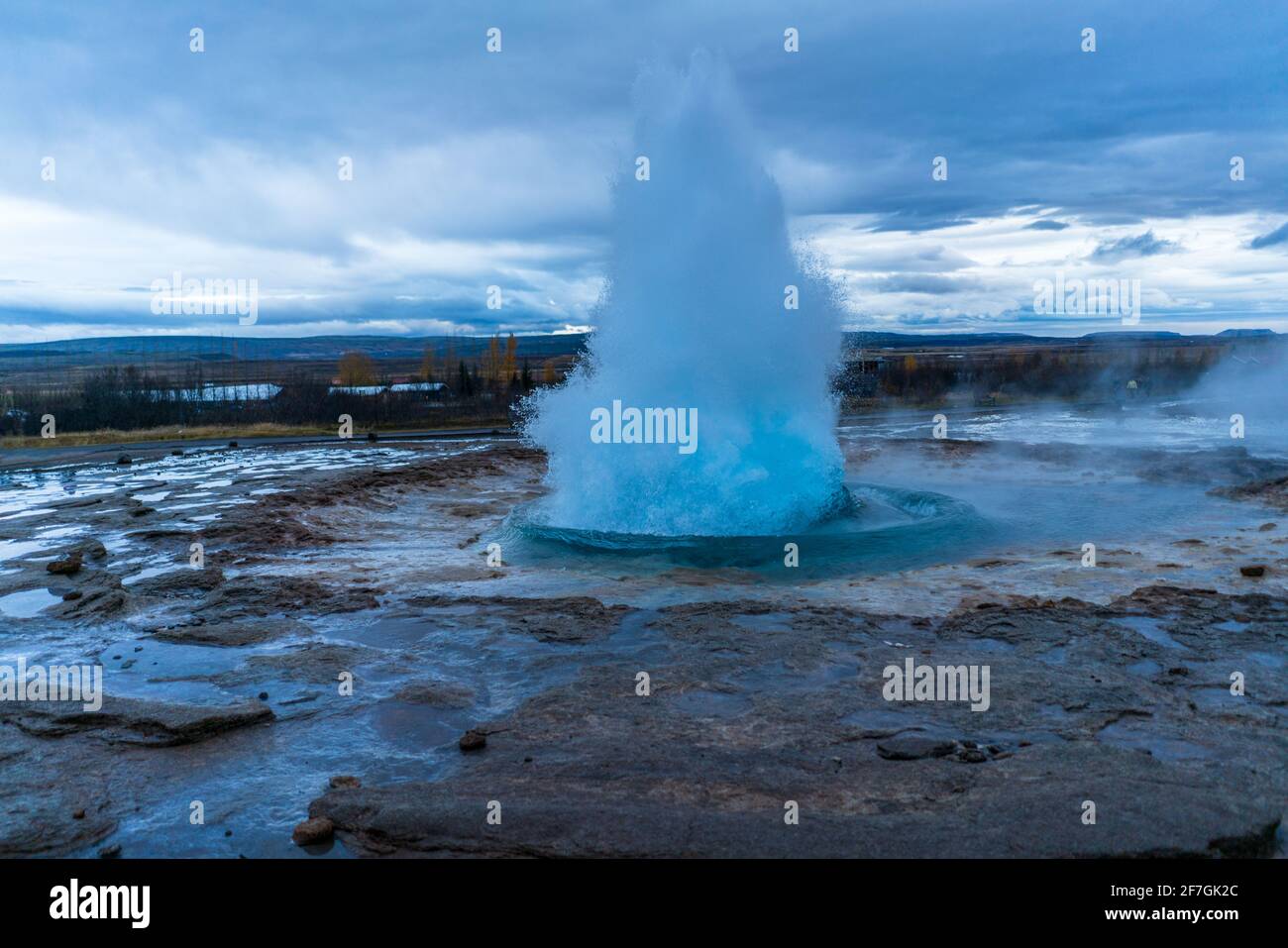 Geyser Exploding Iceland Thingvellir National Park Stock Photo Alamy