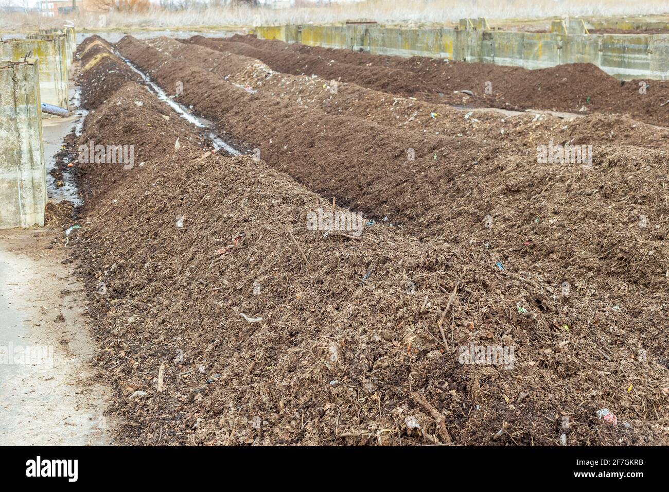Industrial compost plant. Collection point for fresh green waste. Turning organic waste to
