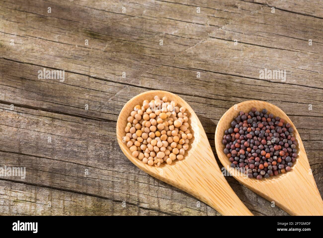 Brown and yellow mustard seeds Text space Stock Photo Alamy