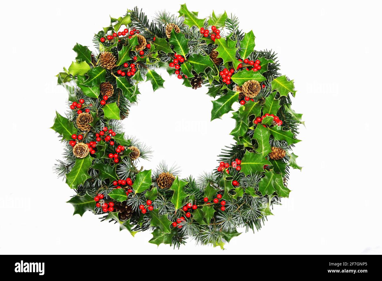 Traditional homemade Christmas wreath with natural holly, cones and pine foliage on white with central copyspace for your seasonal greeting Stock Photo