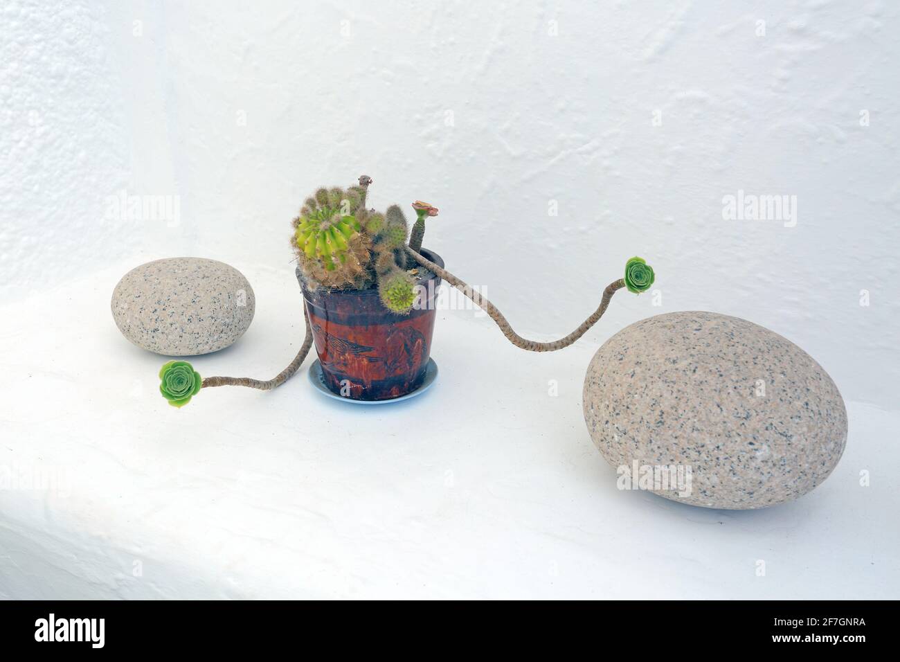 White washed house walls nature hi-res stock photography and images - Alamy