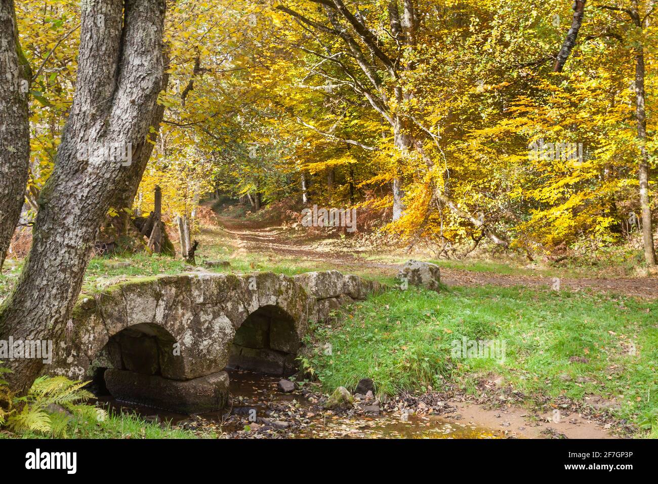 View of the quaint stone Pont du Poupees, Valliere, Creuse, Limosuin , France with its double arches  in autumn l. Stock Photo