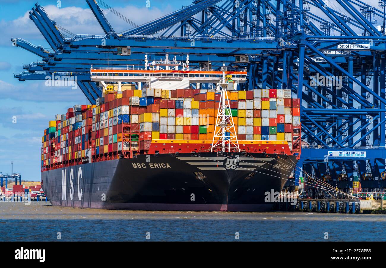 Global Britain - the MSC Erica Container Vessel unloads and loads containers at Felixstowe Port UK. UK Imports, UK Exports. British Imports Exports. Stock Photo