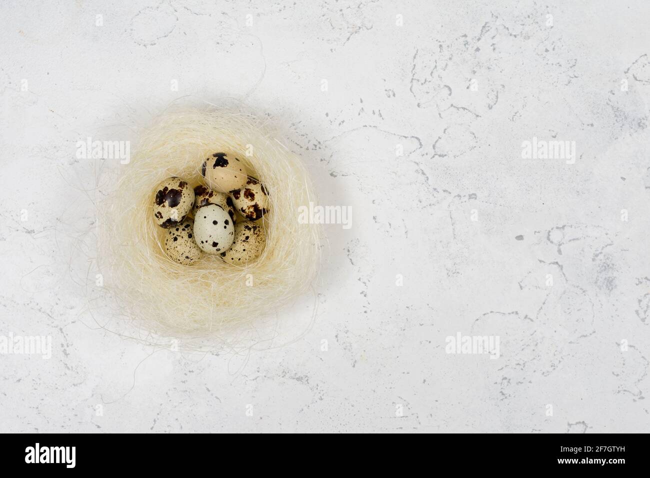 Three quail eggs in a nest on a white concrete background. Place for an inscription. Stock Photo
