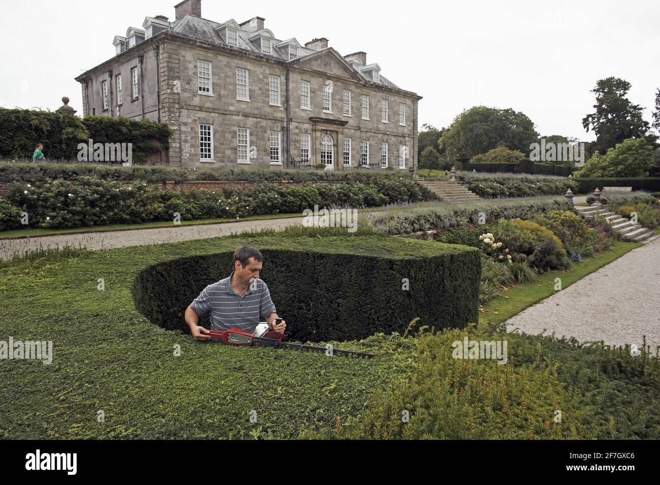 Gadener with electric hedge trimmer in the grounds of Antony House, Torpoint, Cornwall, England, UK Stock Photo
