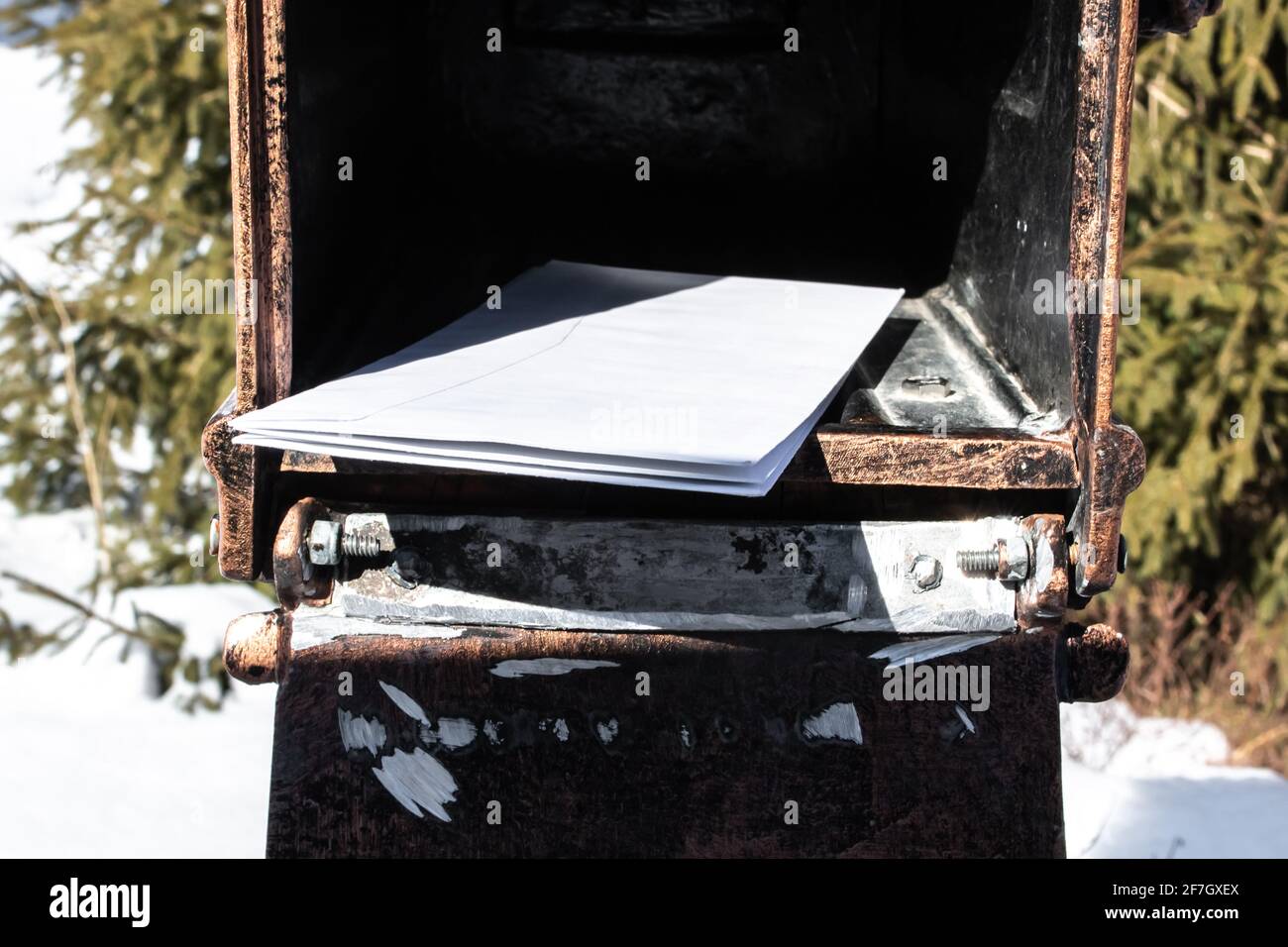 A stack of white legal envelops inside of a copper-tin mailbox in Ontario, Canada, evergreen spruce trees behind. February 2021. Stock Photo