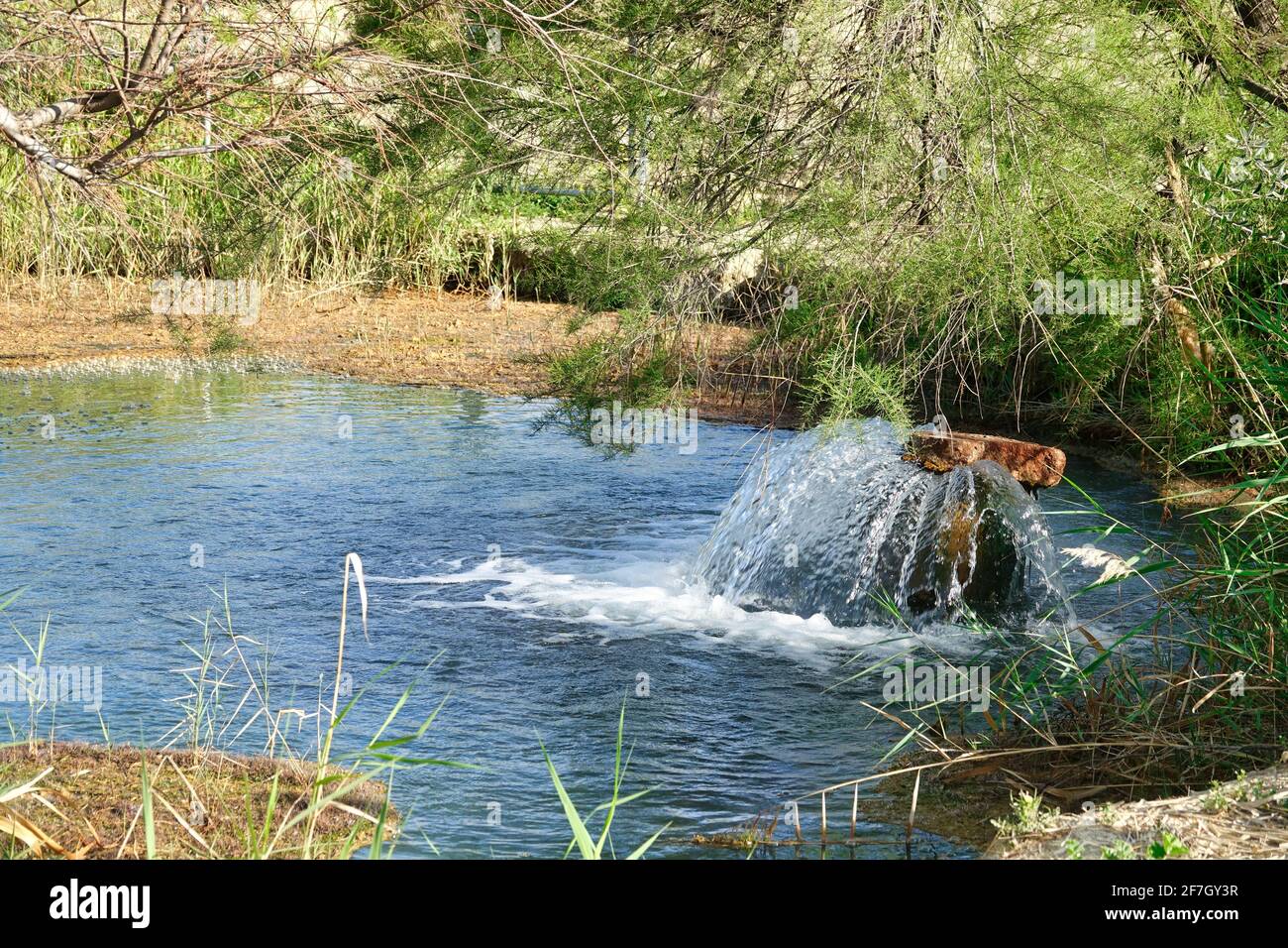 Thermal water spring in the Dehesas de Santa Fé (Spain) Stock Photo