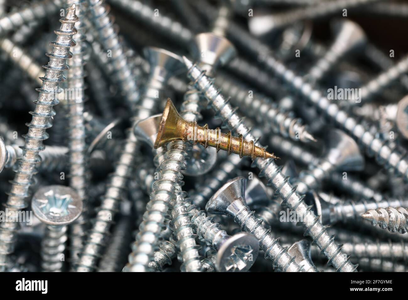Universal silver screws of different sizes closeup Stock Photo Alamy