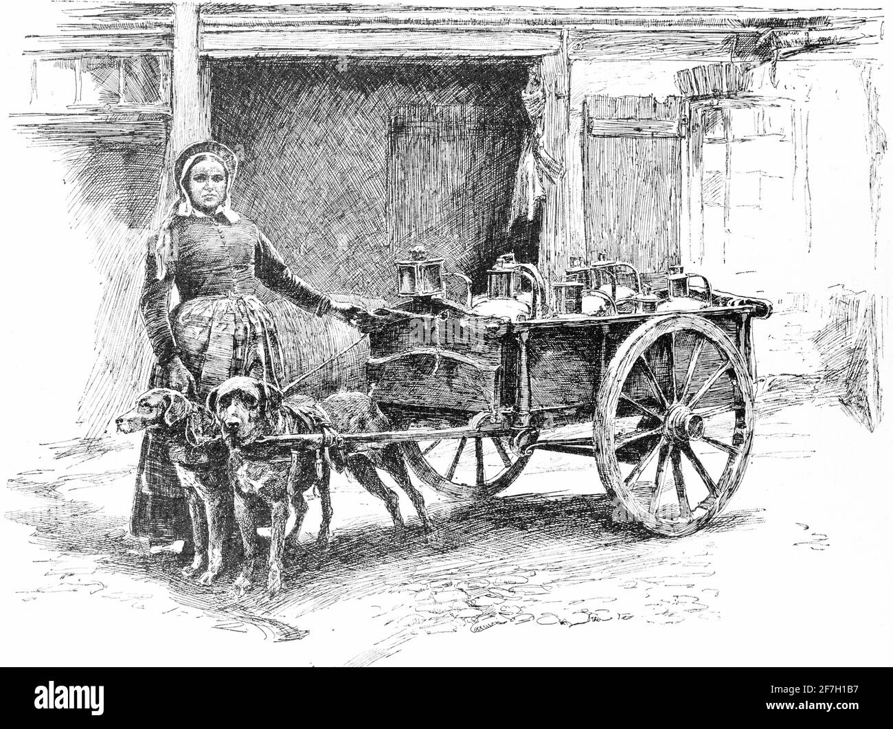 Milk marketeer with her dog-drawn cart full of milk churns, Brussels, Belgium, Europe Stock Photo