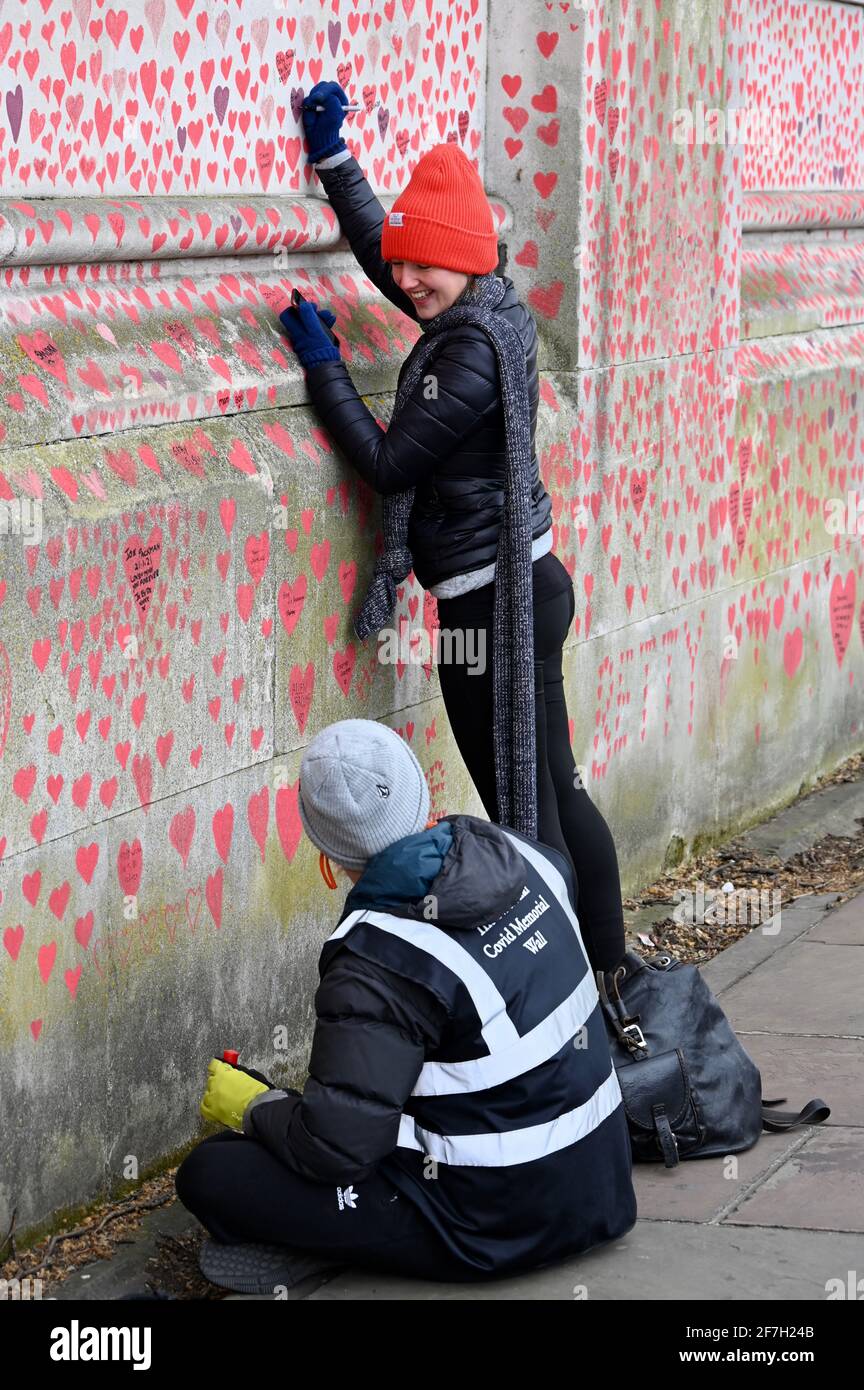 The National Covid Memorial Wall, Around 130,000 hearts have been painted on a kilometre long section of wall opposite the Houses of Parliament as a memorial to the loved ones who have died during the Coronavirus Pandemic. St Thomas' Hospital, Westminster, London. UK Stock Photo