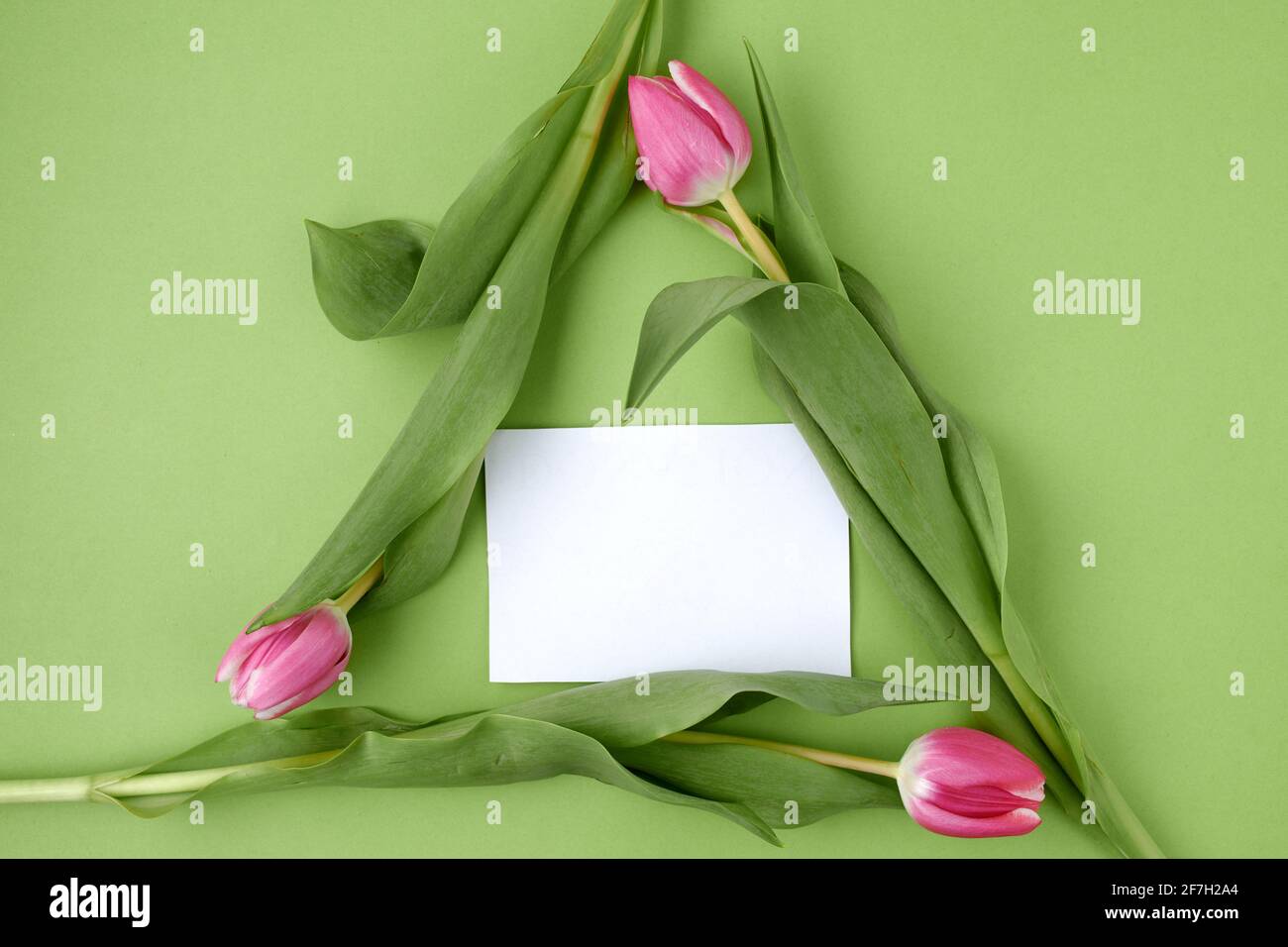 spring flat lay with tulips in recycle symbol and paper sheet isolated ...