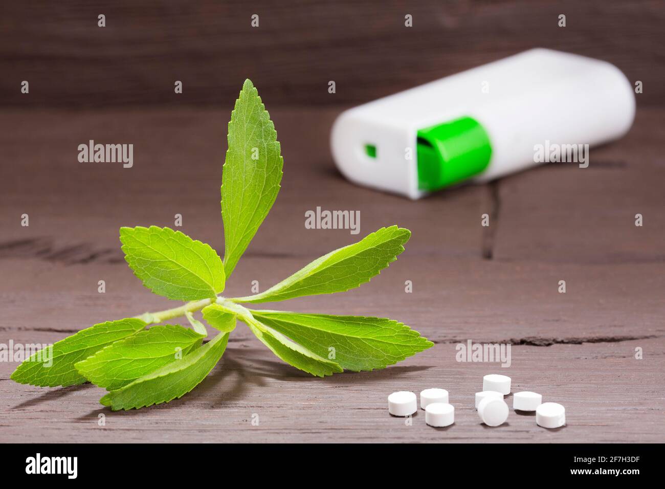 Natural sweetener in powder from stevia plant Stevia rebaudiana Stock Photo Alamy