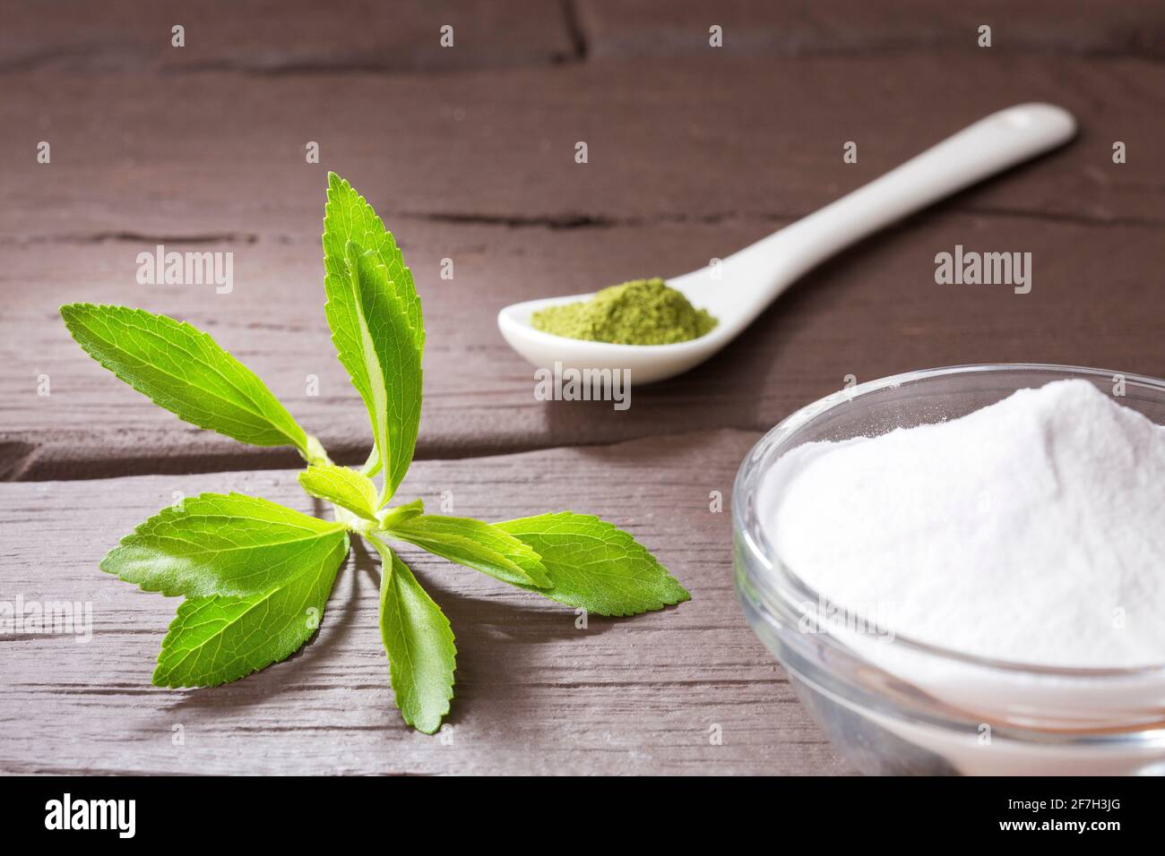 Natural sweetener in powder from stevia plant Stevia rebaudiana Stock Photo Alamy