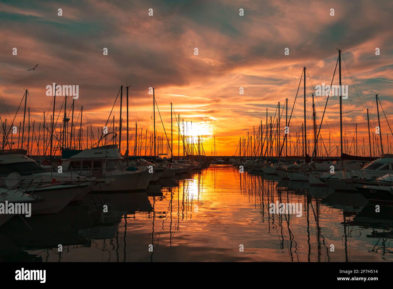 Sailboat marina at sunset Civitavecchia Lazio Italy Stock Photo