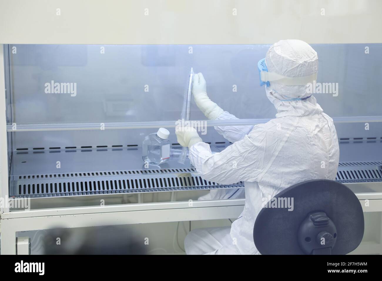 Lab scientists wear protective clothing doing medical research in a