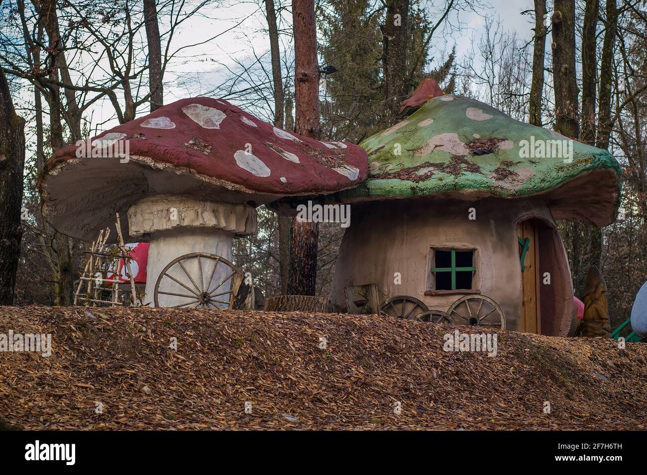 Real mushroom houses in a country setting. Mushroom shaped fantasy or children playhouses in an enchanted forest. Red and green roof with white dots. Stock Photo