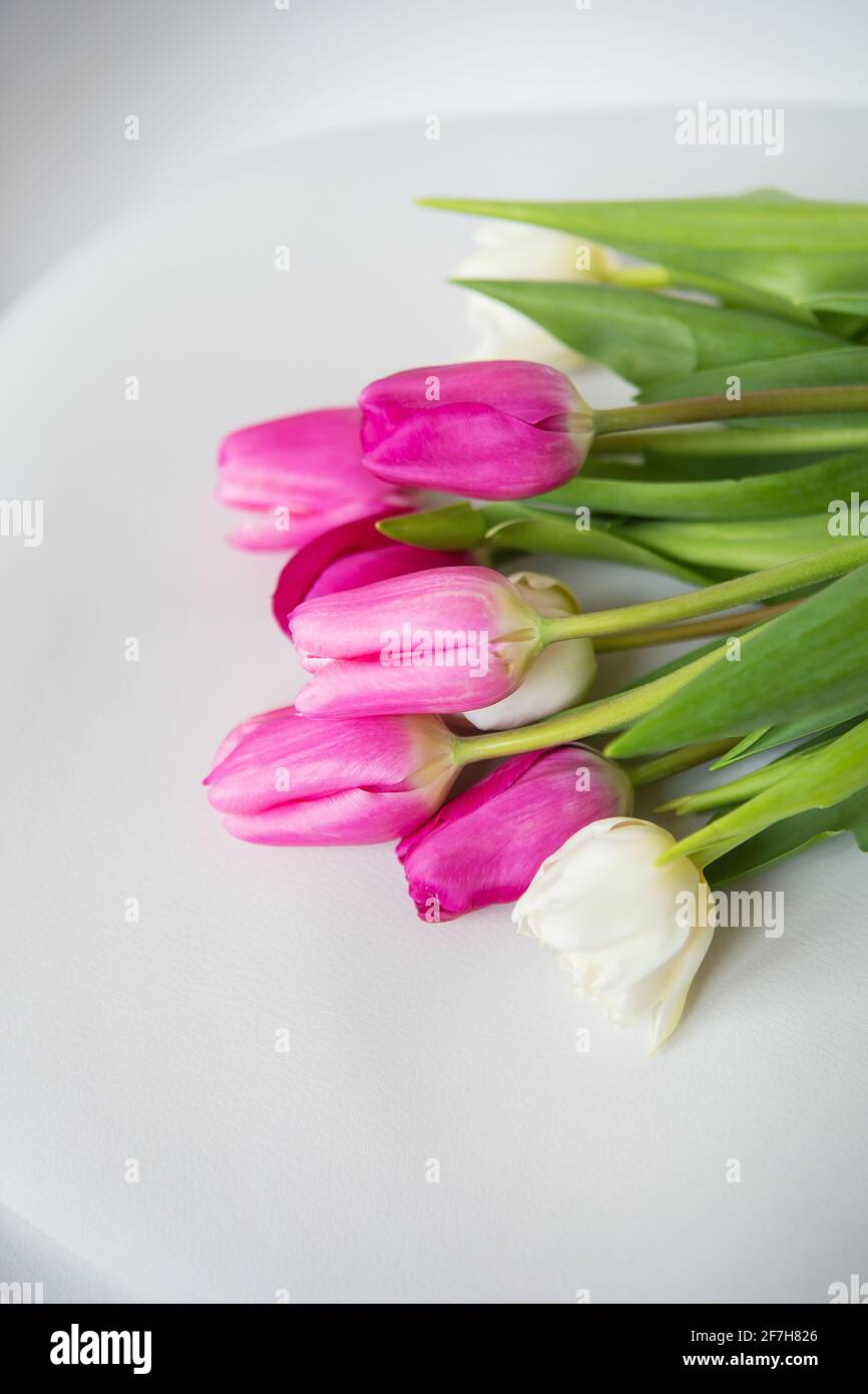 Beautiful spring bouquet with pink and white tulips on a white ...
