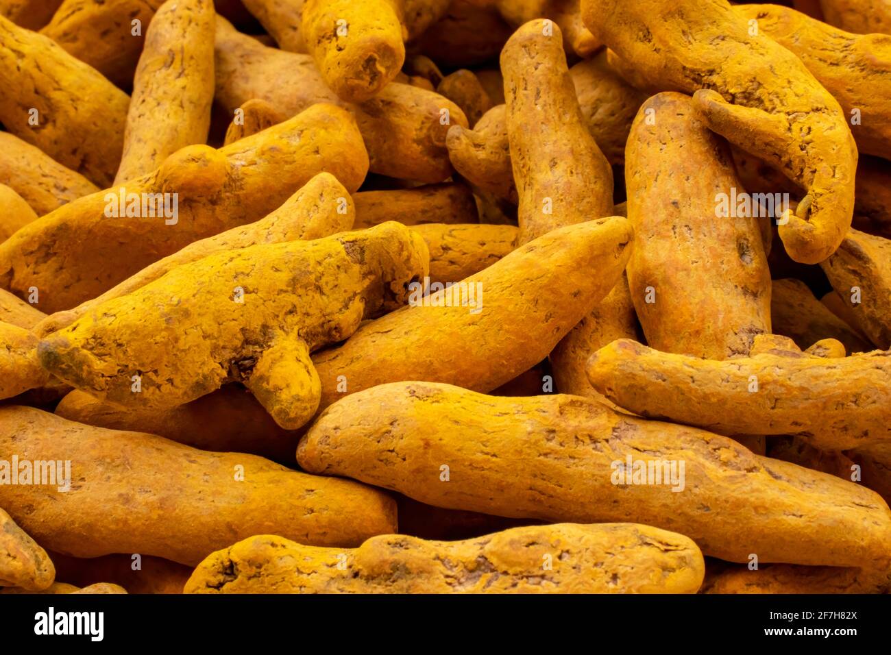 Dried yellow Turmeric root Stock Photo Alamy