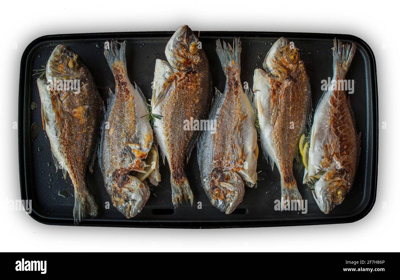 Six orada fish are being prepared on an electric grill isolated on white. Fresh and delicious summer meal Stock Photo Alamy