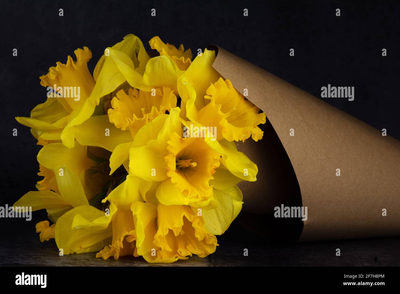 A beautiful bouquet of Wild daffodils (Narcissus pseudonarcissus) in a paper cone. Stock Photo