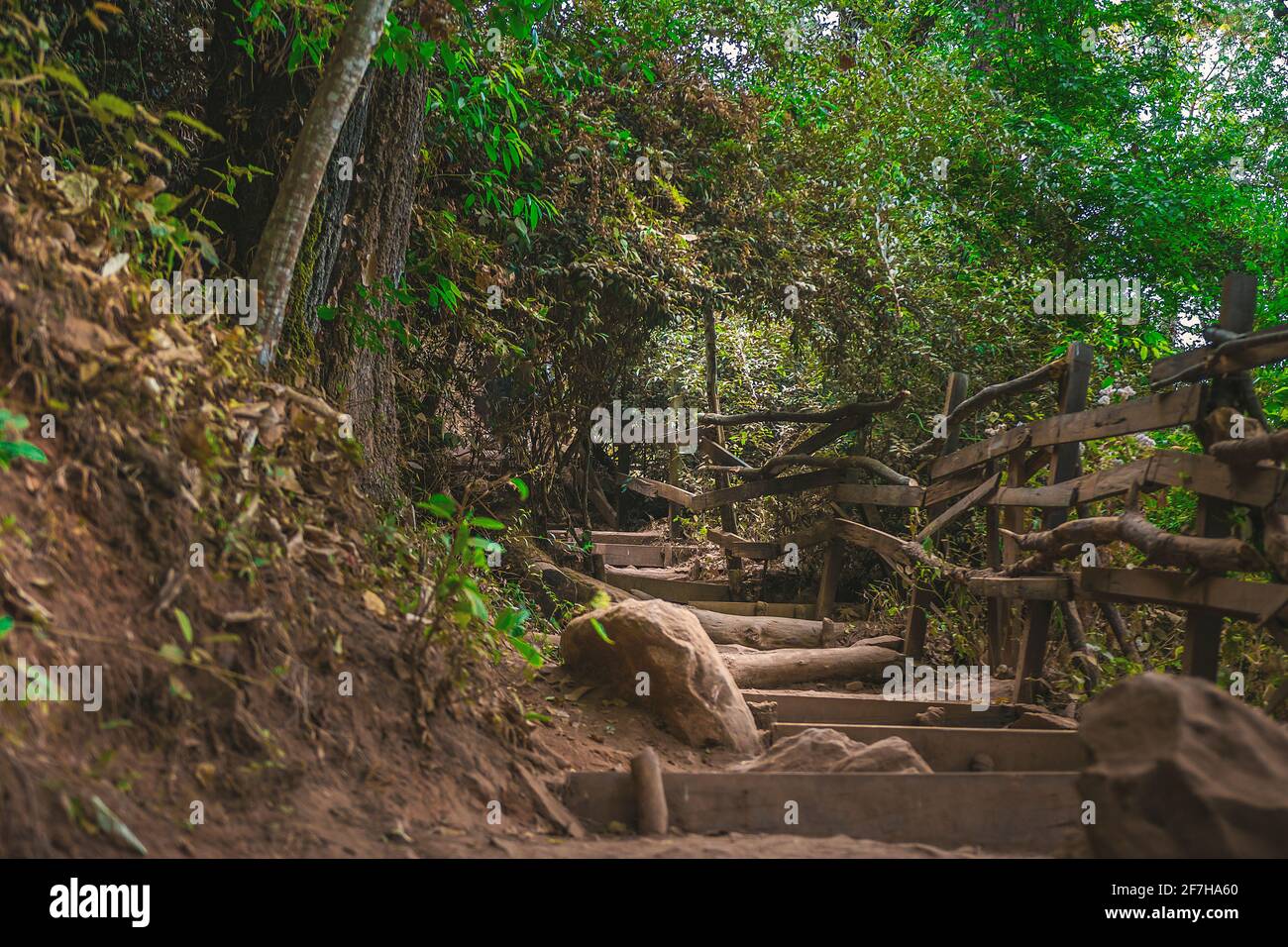 Path through lush green forests in the ecological park 'Velo de Novia' in Mexico Stock Photo