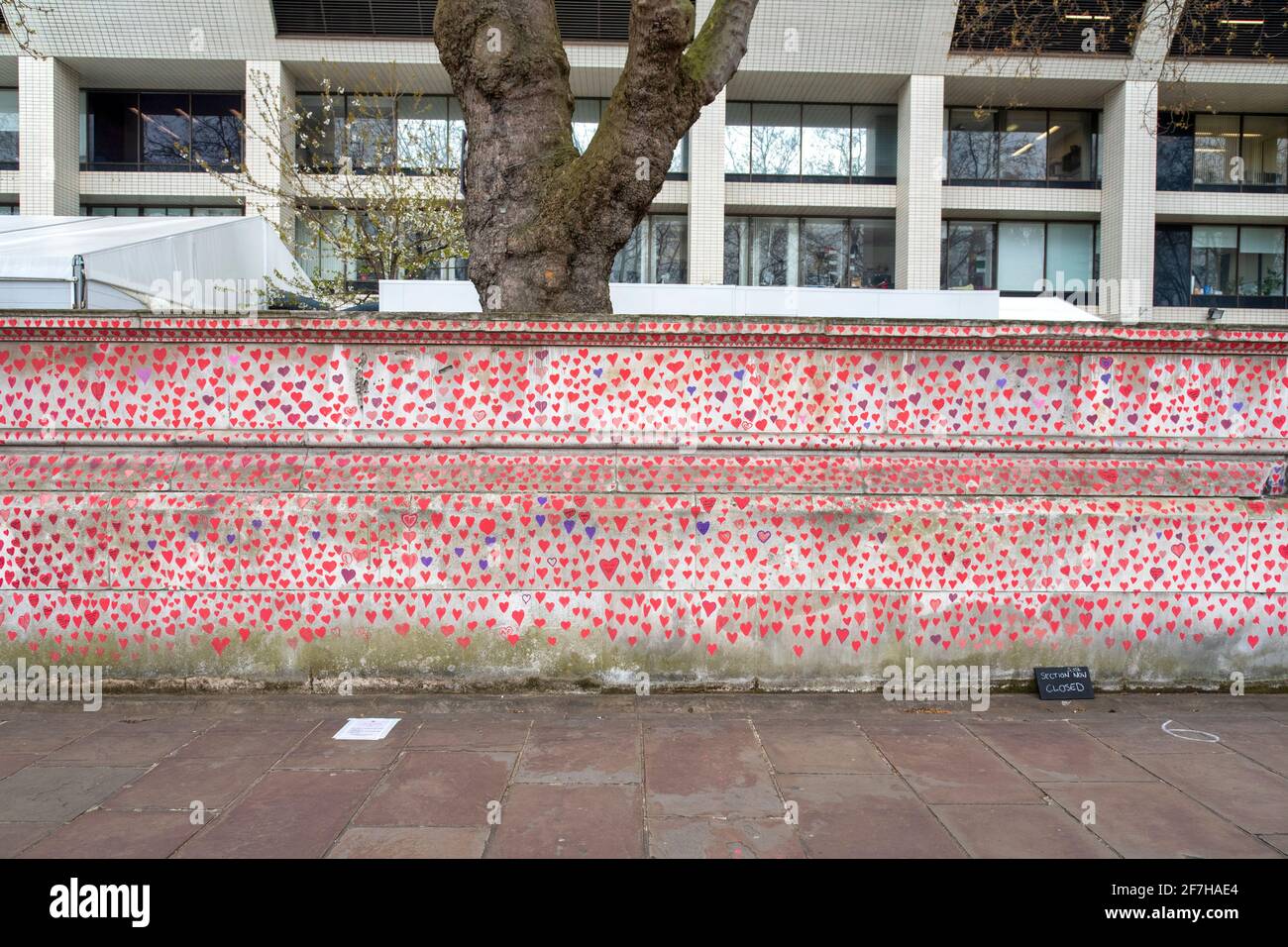 A view of a section of the National Covid Memorial Wall.The wall is adjacent to St Thomas' Hospital and is being hand-painted with 150000 hearts to honour UK Covid-19 victims, it stretches over 700 metres long. Stock Photo
