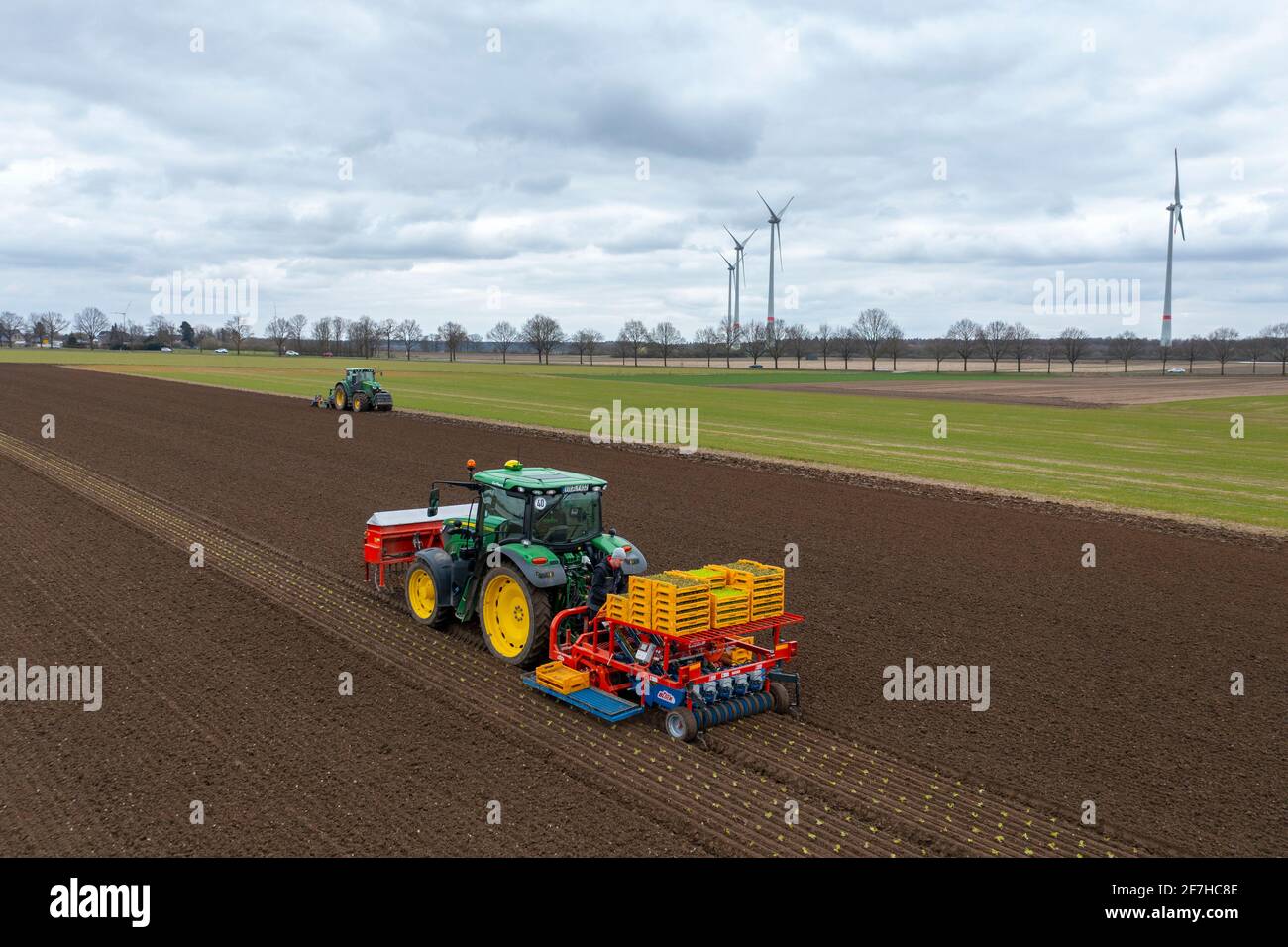 Lettuce plants are planted with a planter, tractor with power harrow prepares the soil, agriculture, spring, Stock Photo